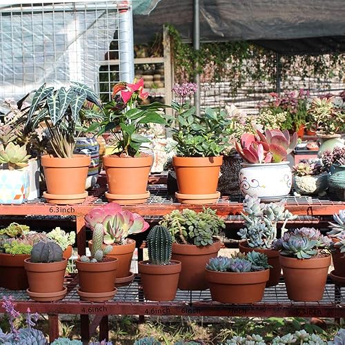 Miniatura 5 de Macetas de arcilla de terracota de 4.6 pulgadas, paquete de 8 mini macetas artesanales a mano para guardería, suculentas, cactus, maceta de