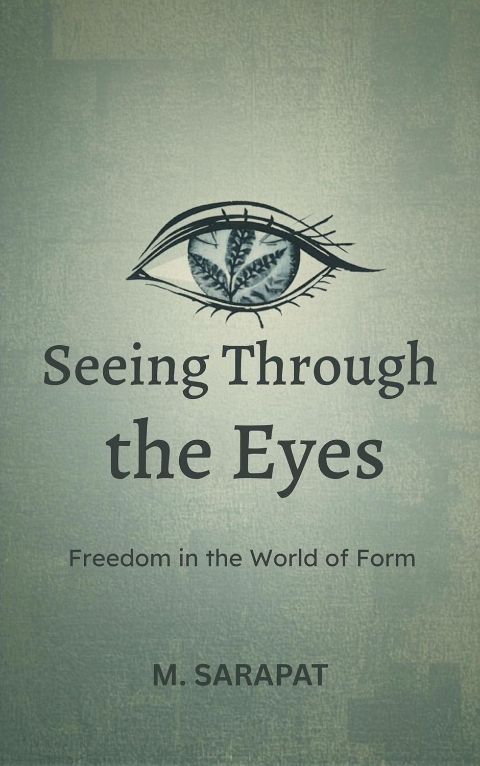 Seeing Through the Eyes: Freedom in the World of Form: A Practical Guide to Seeing Clearly, Ending Comparison, and Finding Freedom in Everyday Perception      Kindle Edition
