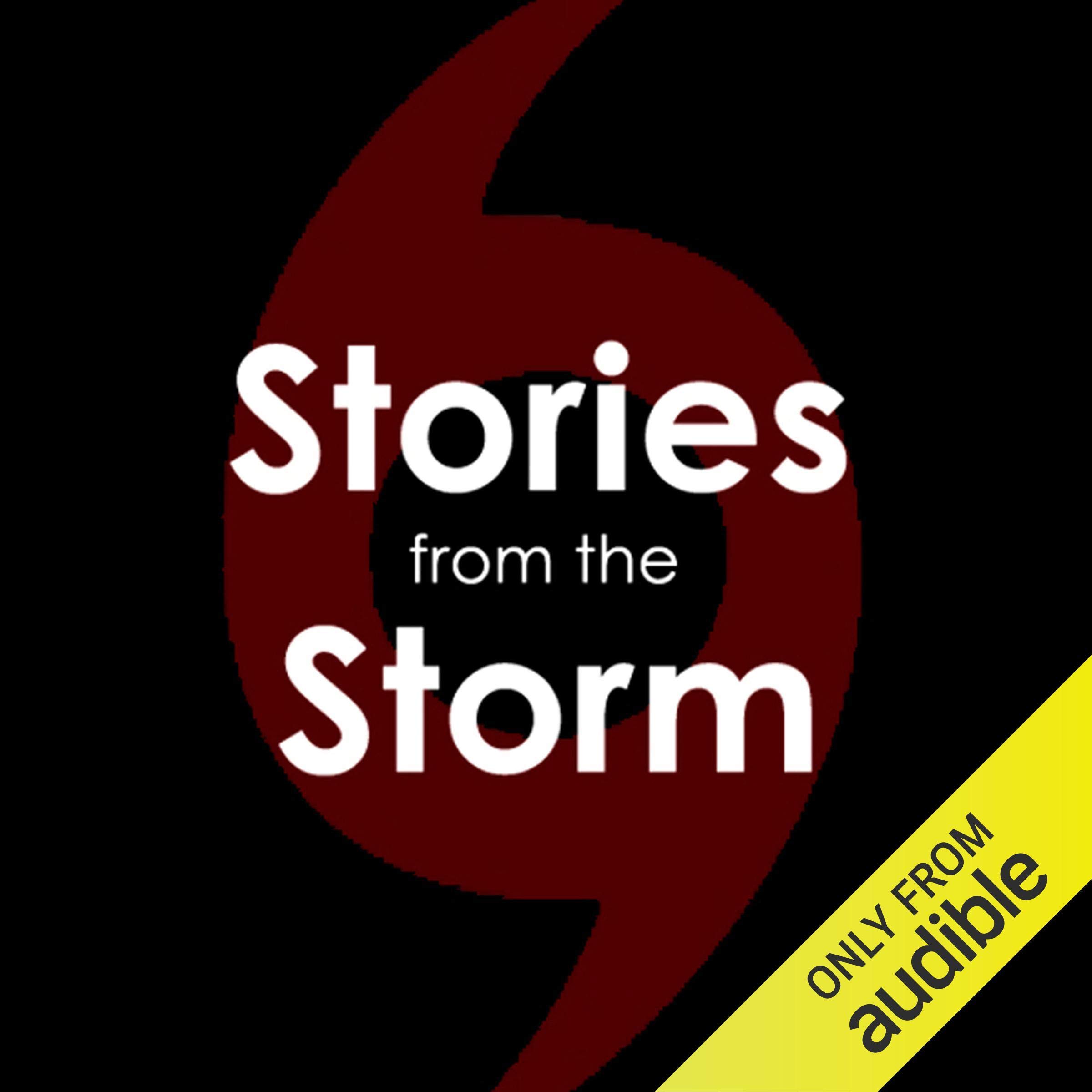 Cover art for Stories from the Storm