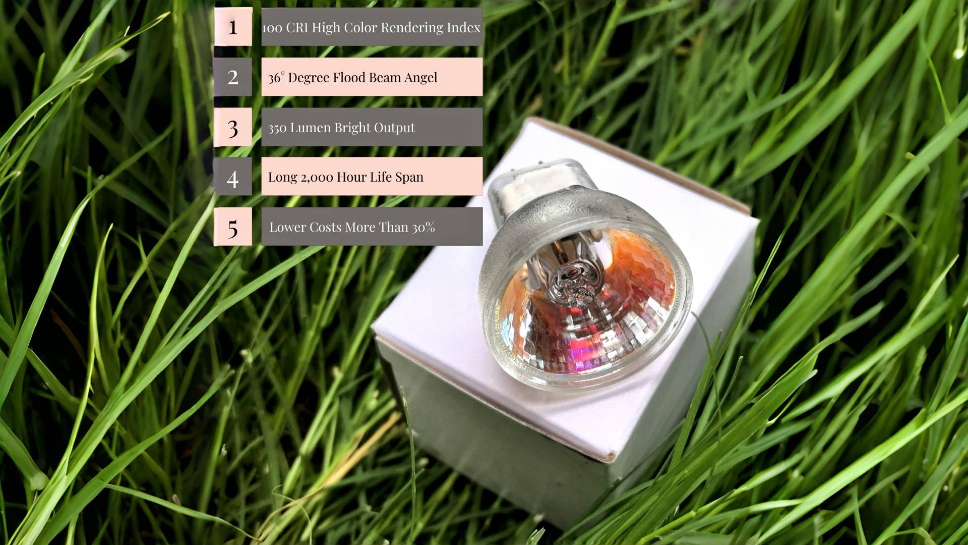Riflettori alogeni Mr-8 GZ4: 6v 12v, 5w/10w/20w/35w - 3000k luce calda per un'illuminazione sbalorditiva e un'illuminazione cristallina 100 pezzi (/12V-35W)