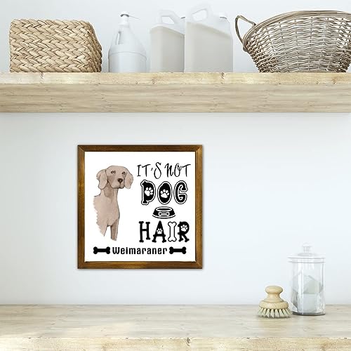 Vista 180 de Letrero de madera con texto en inglés «It's Not Dog Hair» («It's Not Dog Hair» American Bully Dog Dog), regalo decorativo para la pared del hogar