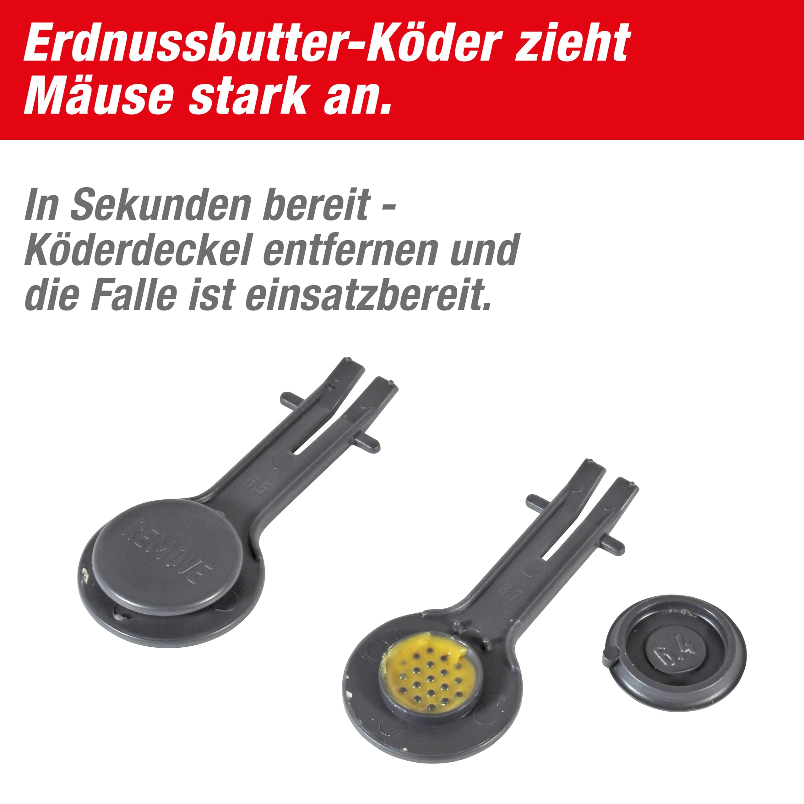 halsband katze selbstffnend Katzenhalsband mit Name und Telefonnummer graviert  mypfote.com