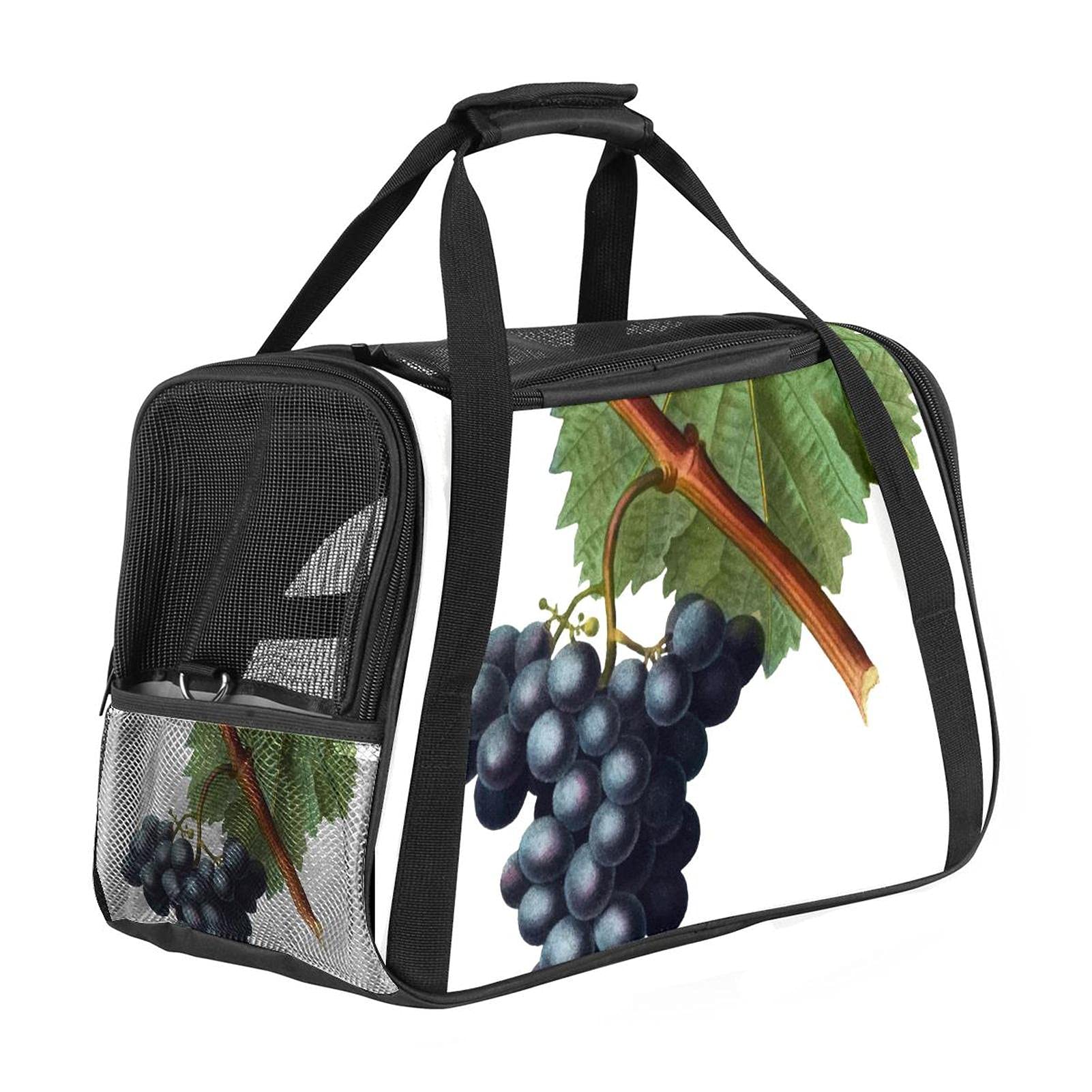 Sac de transport pour chat approuvé avion pour voyager