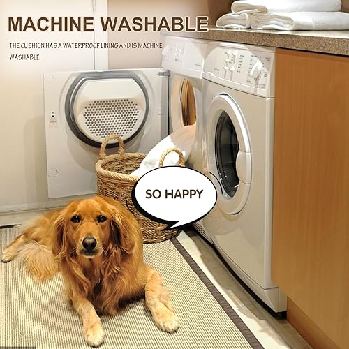 Miniatura 5 de EMPSIGN Cama para perro para perros pequeños, alfombra de felpa mullida de lujo, lavable a máquina, camas para mascotas con funda extraíble, 23 x 16