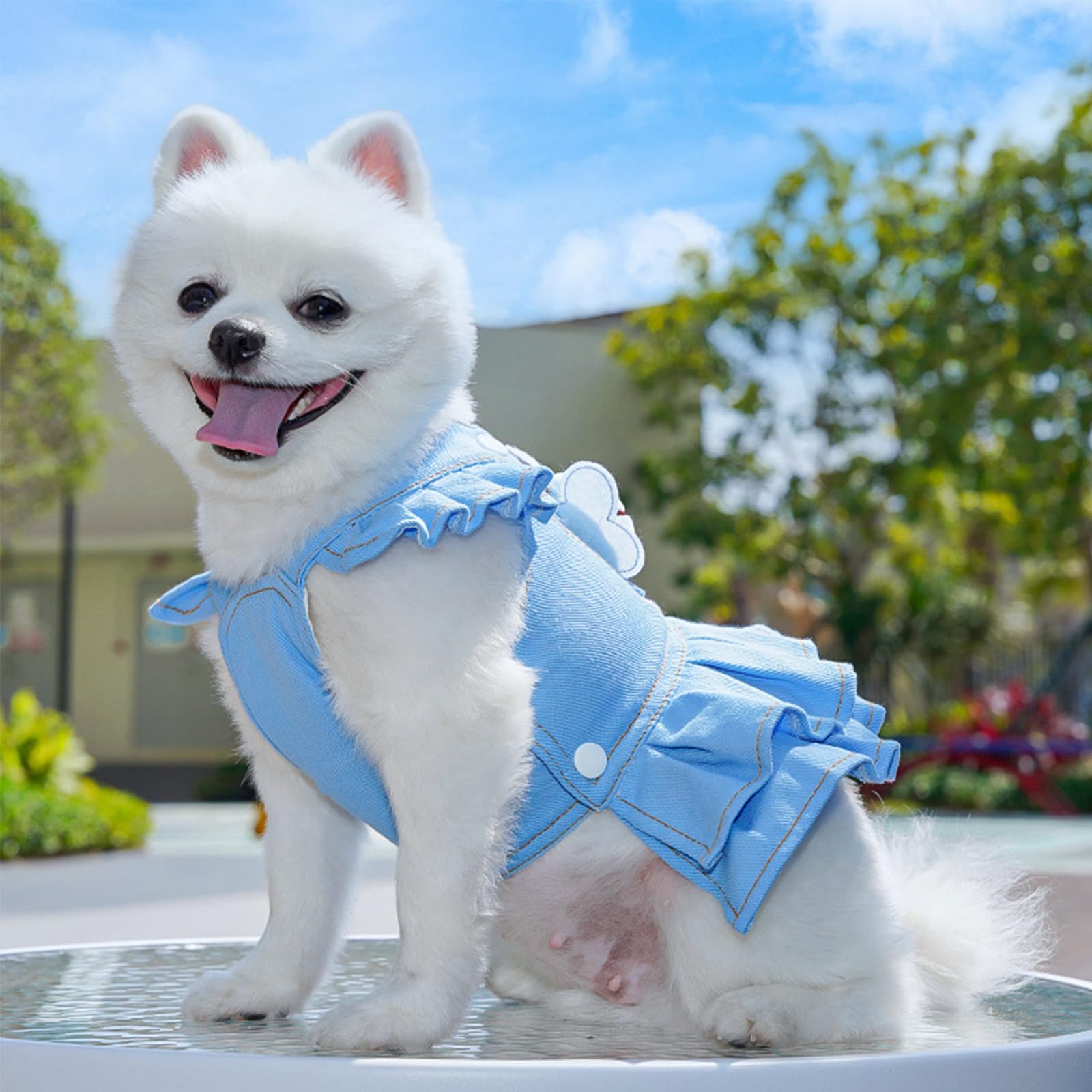 Dog Dresses Harness Leash Set,Summer Denim Dog Apparel with Cute Bee Pendant for Small Medium Large Dogs_L(Blue)