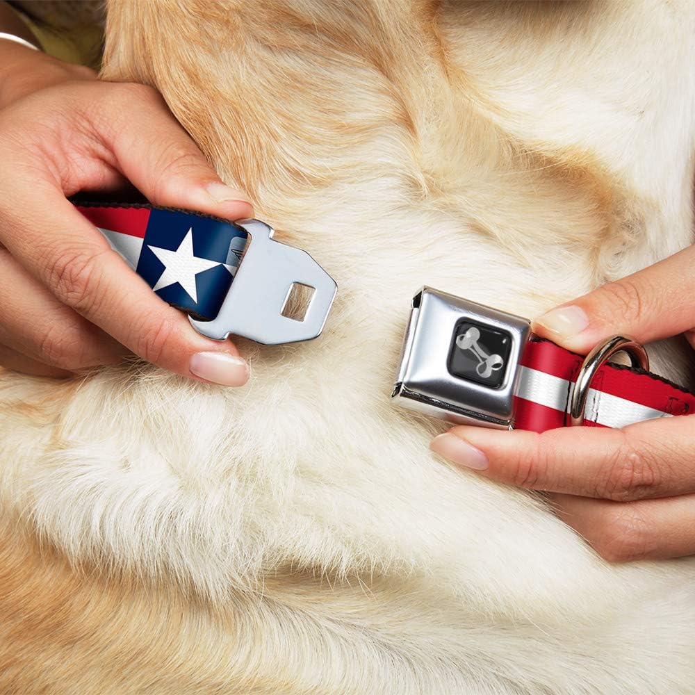 Buckle-Down Seatbelt Buckle Dog Collar - Stars & Stripes Blue/White/Red/White - 1" Wide - Fits 15-26" Neck - Large