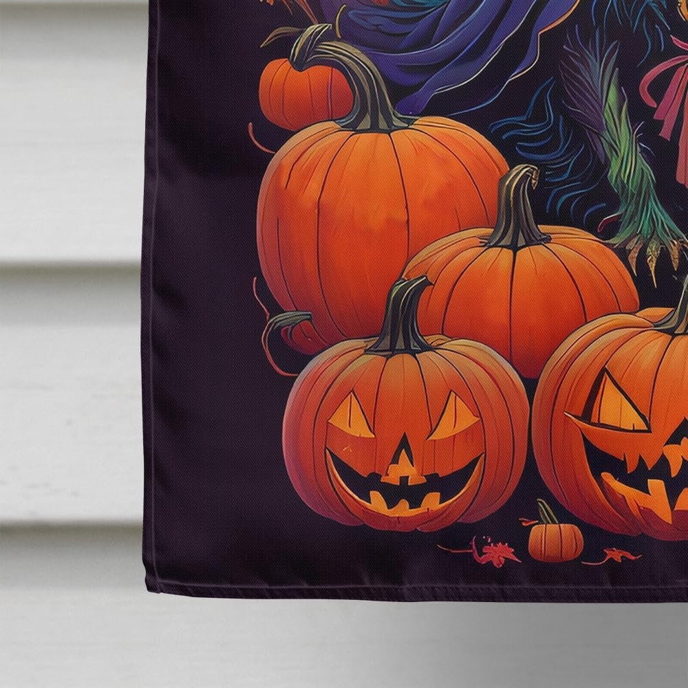 Caroline's Treasures DAC1466CHF Affenpinscher Witchy Halloween House Flag Large Porch Sleeve Pole Decorative Outside Yard Banner Artwork Wall Hanging, Polyester, House Size, Multicolor