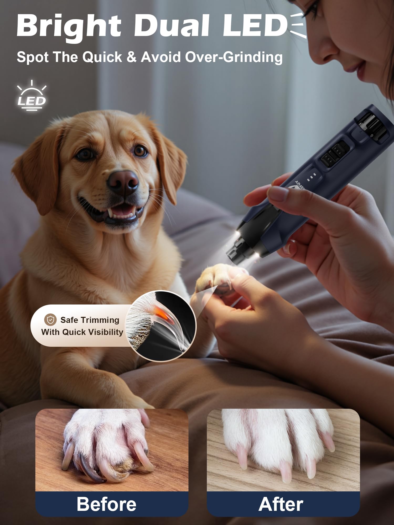 Casfuy Molinillo de uñas para Perros de 6 velocidades, 50% de Potencia potenciada, silencioso, con Luces LED duales y colector de Polvo, Motor de Cobre de 4,8 V, Herramienta eléctrica de Lima de uñas