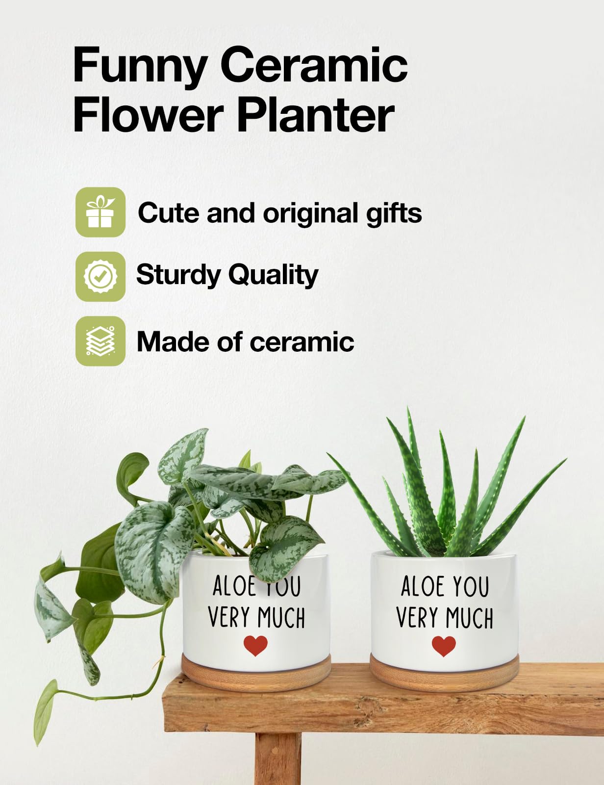 You Very Much- Maceta de cerámica blanca grabada para suculentas y cactus de aloe, divertidas macetas de interior para el hogar, oficina, alféizar de ventana, regalo de 3.8 pulgadas