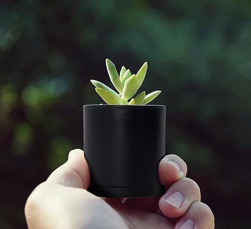 Miniatura 41 de D'vine Dev Paquete de 4 macetas de plástico modernas de 4 pulgadas, pequeñas macetas de jardín para plantas con agujeros de drenaje y platillos