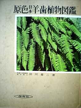 シダ研究者へ日本羊歯類圖集　全３巻揃　復刻 シダ研究者へ日本羊歯類圖集 全3巻揃 復刻 総集編・・羊歯 :