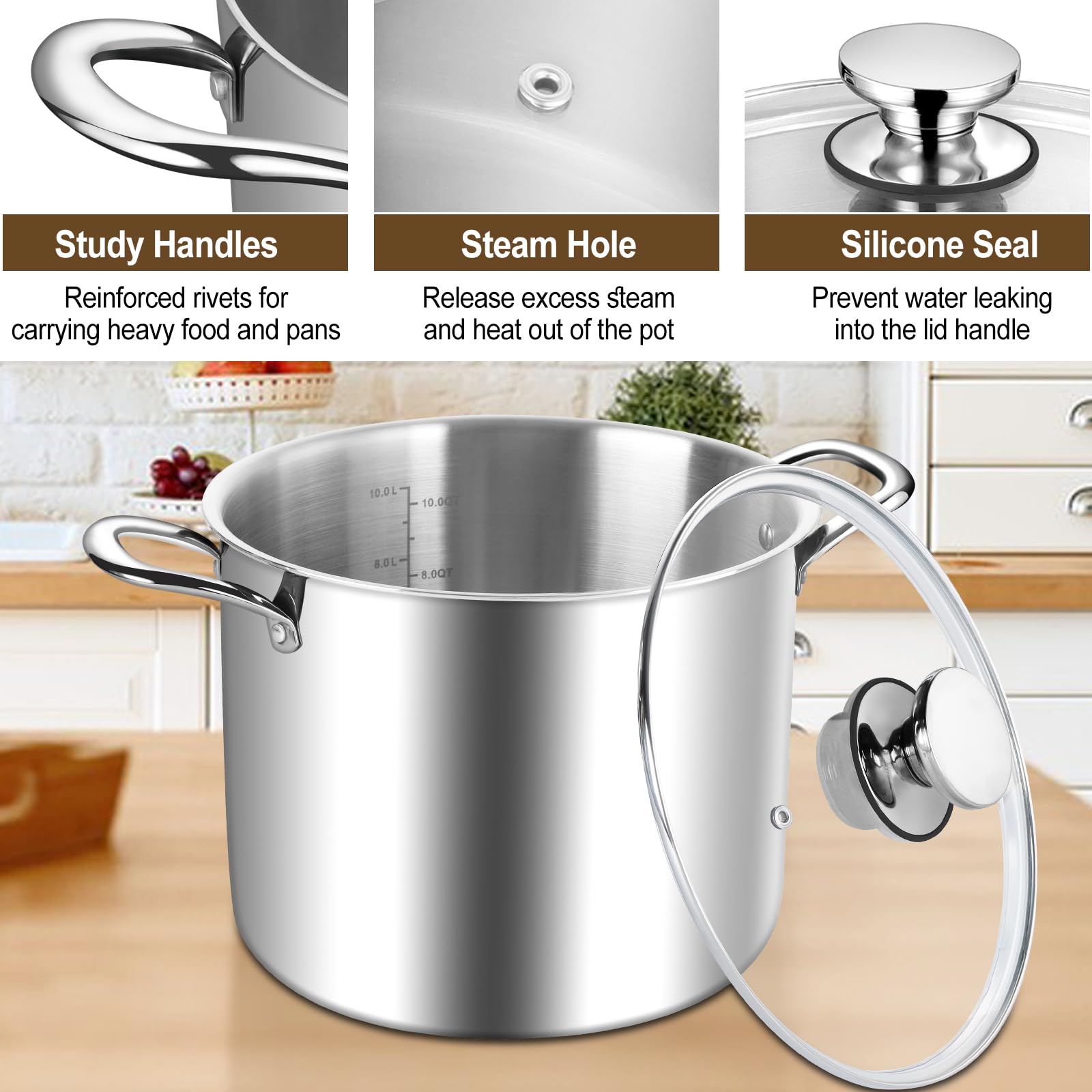 HaWare Olla grande de acero inoxidable de tres capas de 10 L con tapa visible para pasta/carne/sopa, olla de inducción de metal, apta para todas las estufas de cocina, saludable y no tóxica, apta para