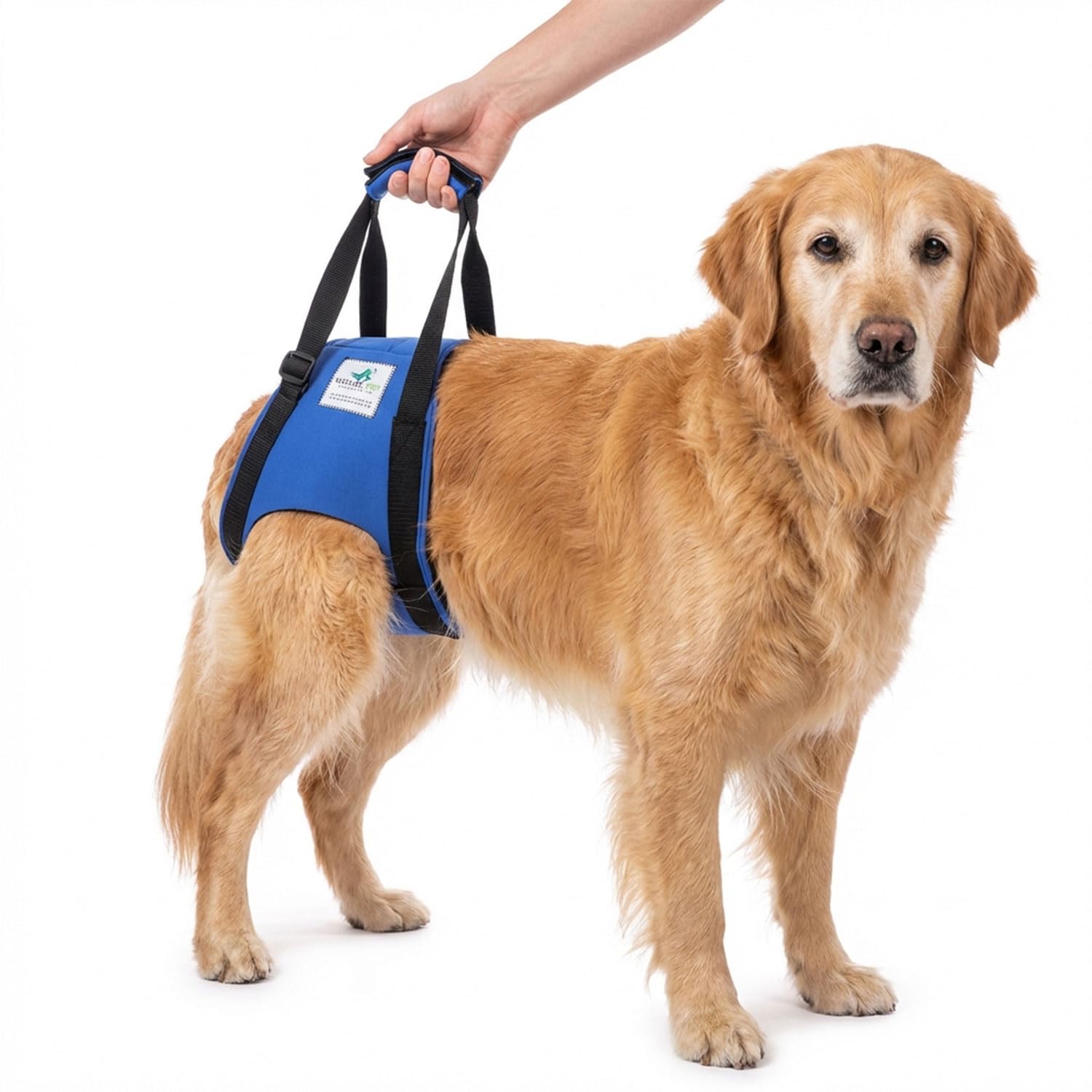 Nature Pet © - Tragehilfe Hund hinten - Verstellbarer Hunde Tragegurt als Treppenhilfe - Ideal für ältere, kranke oder operierte Vierbeiner - Praktische Unterstützung für Mobilität (M, Schwarz)