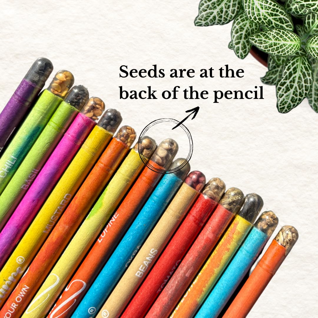 Saphirre Seeds Plantable Pencils with Seeds| Pack of 20| Plantable Pencils with Herbs & Vegetable Seeds| Eco Friendly Grow Pencil| Return Gifts| Plantable Seed Pencils| Black Graphite Pencil 1