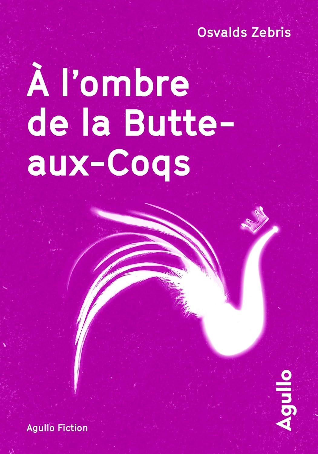 A l'ombre de la Butte-aux-Coqs (French Edition)      Kindle Edition