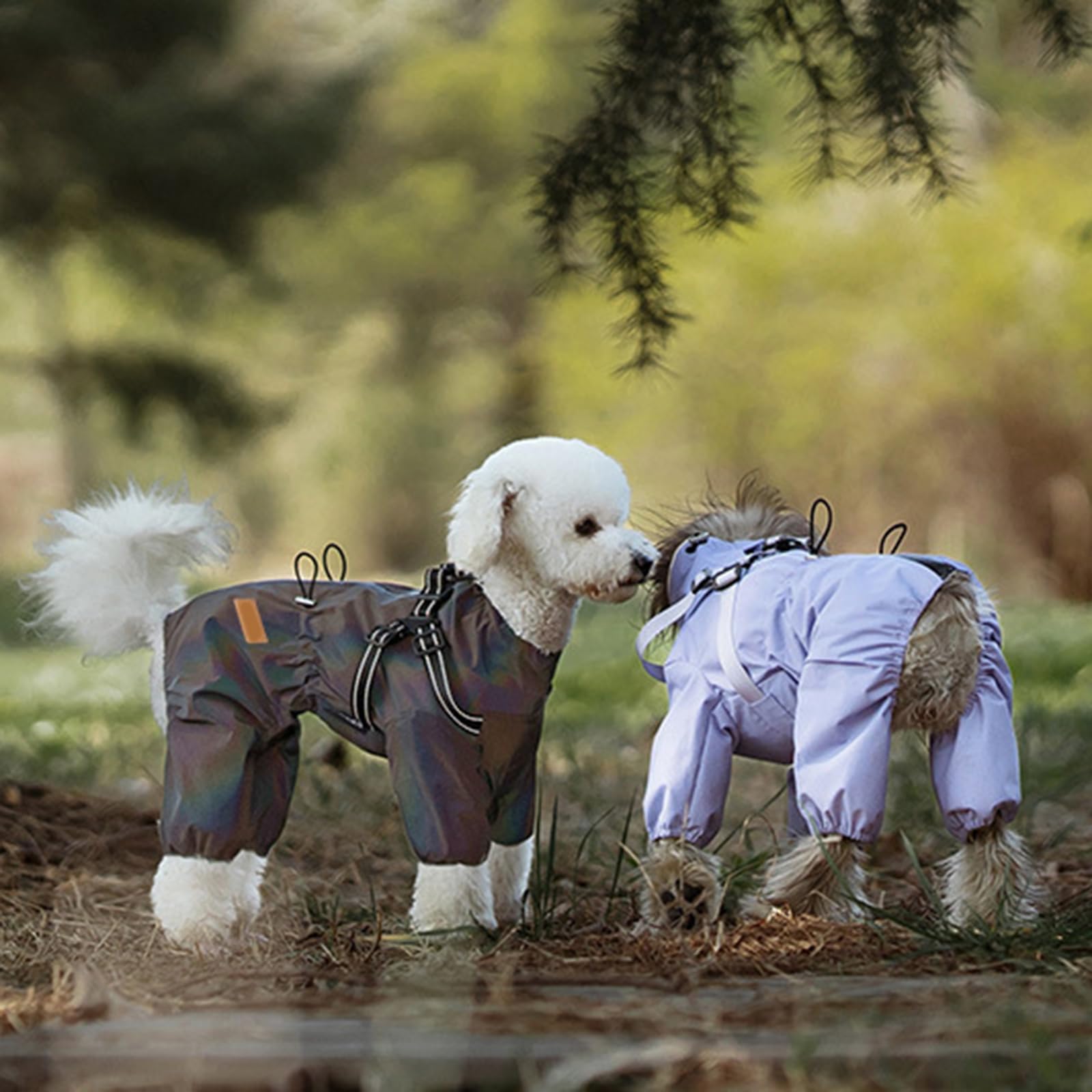 Wasserdichter Wintermantel für Hunde, Purple XXXL