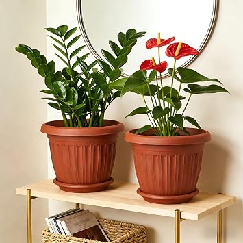 6 Pack Plastic Plant Pots 16cm/6.3-in Flower Pots with Drainage Holes and Tray Modern Decorative Planter Pot Indoor Outdoor Planters for All House Plants