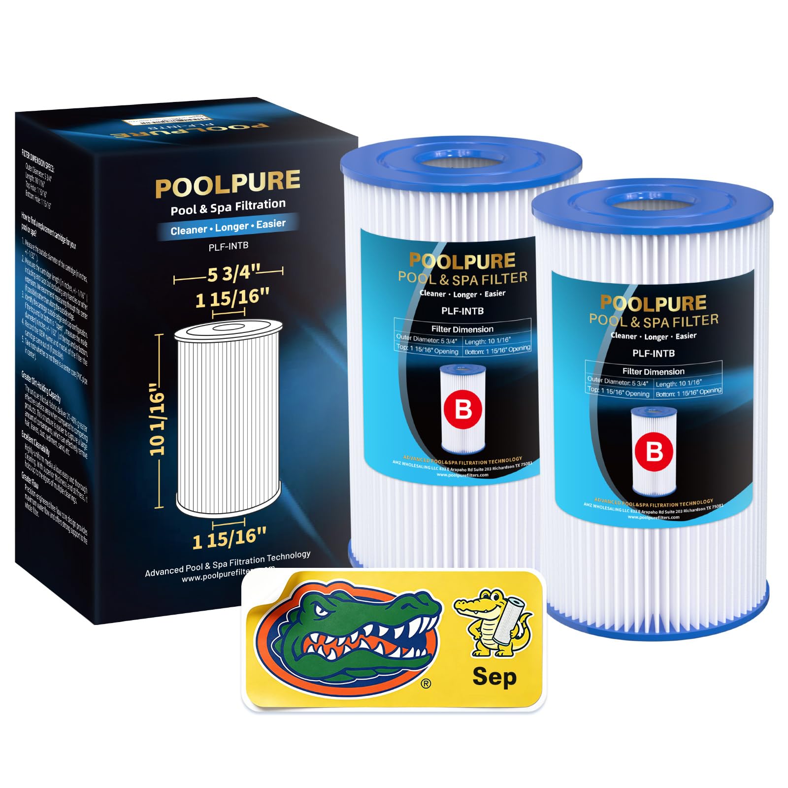 POOLPURE Lot de 2 filtres de rechange pour piscine Intex 29005E
