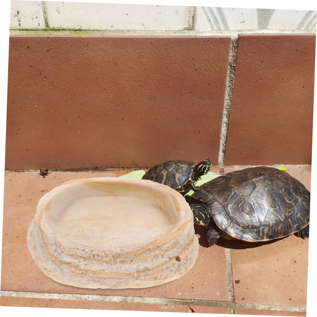 Tofficu 2pcs Resin Reptile Food Bowl and Water Dish Set, Decorative Terrarium Feeding Basin for Bearded Dragon, Lizard, Gecko, and Tortoise Habitat Accessories
