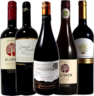 厳選チリワイン5本セット 全てリゼルヴァ 豪華木樽熟成 赤ワイン5本 ソムリエ厳選 750ml×5