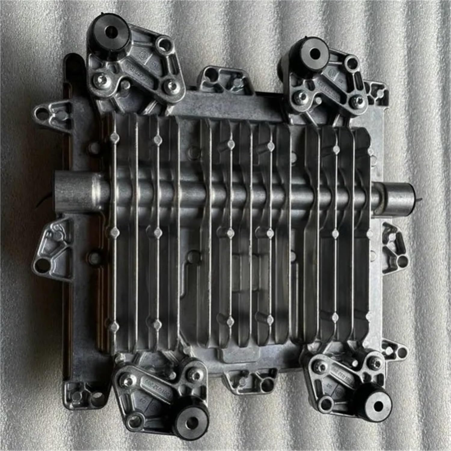 ア*き様 アロエハイブリッド コダマ子株