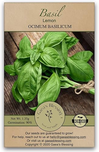 Gaea's Blessing Semillas – Semillas de albahaca de limón – con instrucciones fáciles de seguir – No OGM de polinización abierta de alto rendimiento
