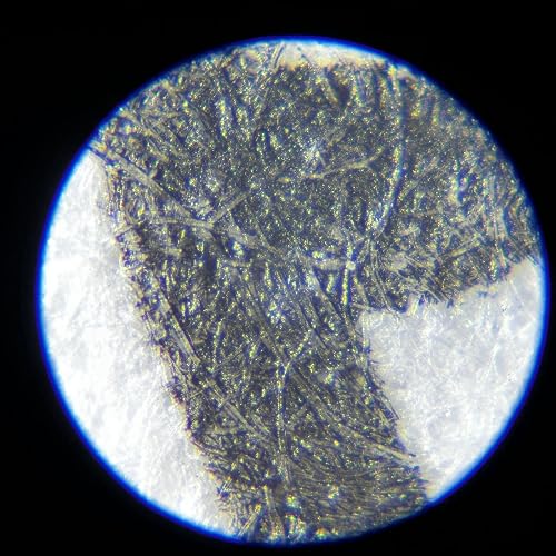 Review Image by C. D.
