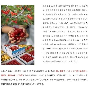 Amazon.co.jp: ジェイエイてんどうフーズ ご自宅用 山形県産