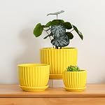 Pots de fleurs en céramique 3, Pots de 4+5+6 pouces pour les plantes intérieures Pots en céramique avec bac,Moyen Planters intérieurs pour les pots décoratifs Aloe Cactus avec trou de drainage