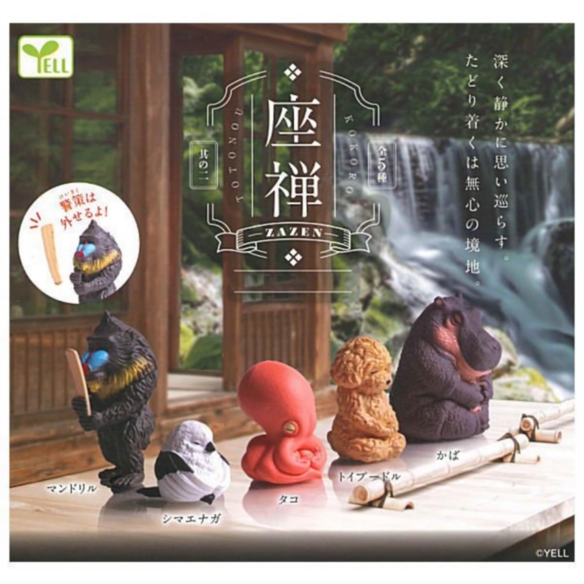 Amazon | エール 座禅 ZAZEN 其の二 × 全5種セット フルコンプ