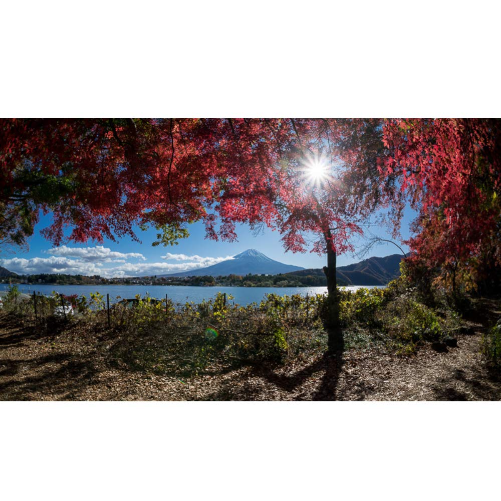 TTArtisan 11mm F2.8 Obiettivo per fotocamera Full Fame Fisheye compatibile con fotocamere EOS R Mount R RP R5 R6 -Nero