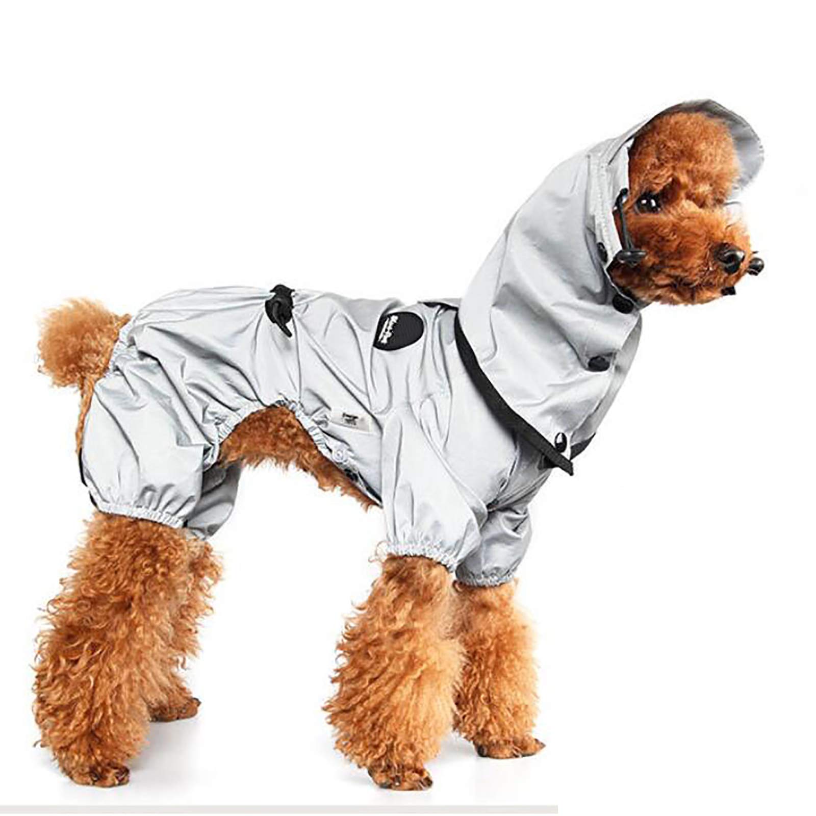 Vêtements pour chiens de pluie pour balade nocturne et sorties sous l'averse