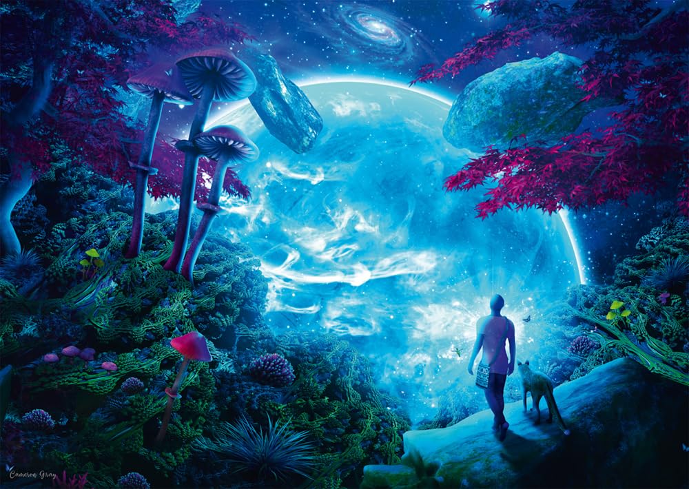 Schmidt Spiele 58525 Sky Fantasy, Cameron Gray, 1000 Piece Puzzle