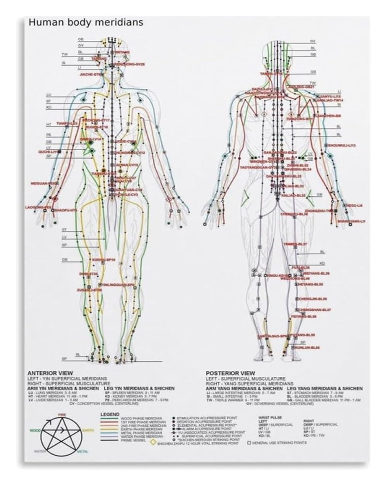 LLBOGRGGN Five Elements Meridian Chart Acupuncture Educational Poster TCM Body Flow Diagram for Clinic Room Decor(Unframed,12x18inch(30x45cm))