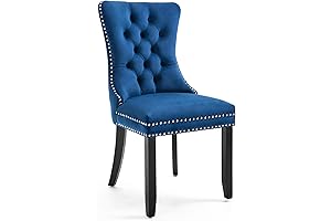 Elegant Kitzir Velvet Dining Chairs Set of 2