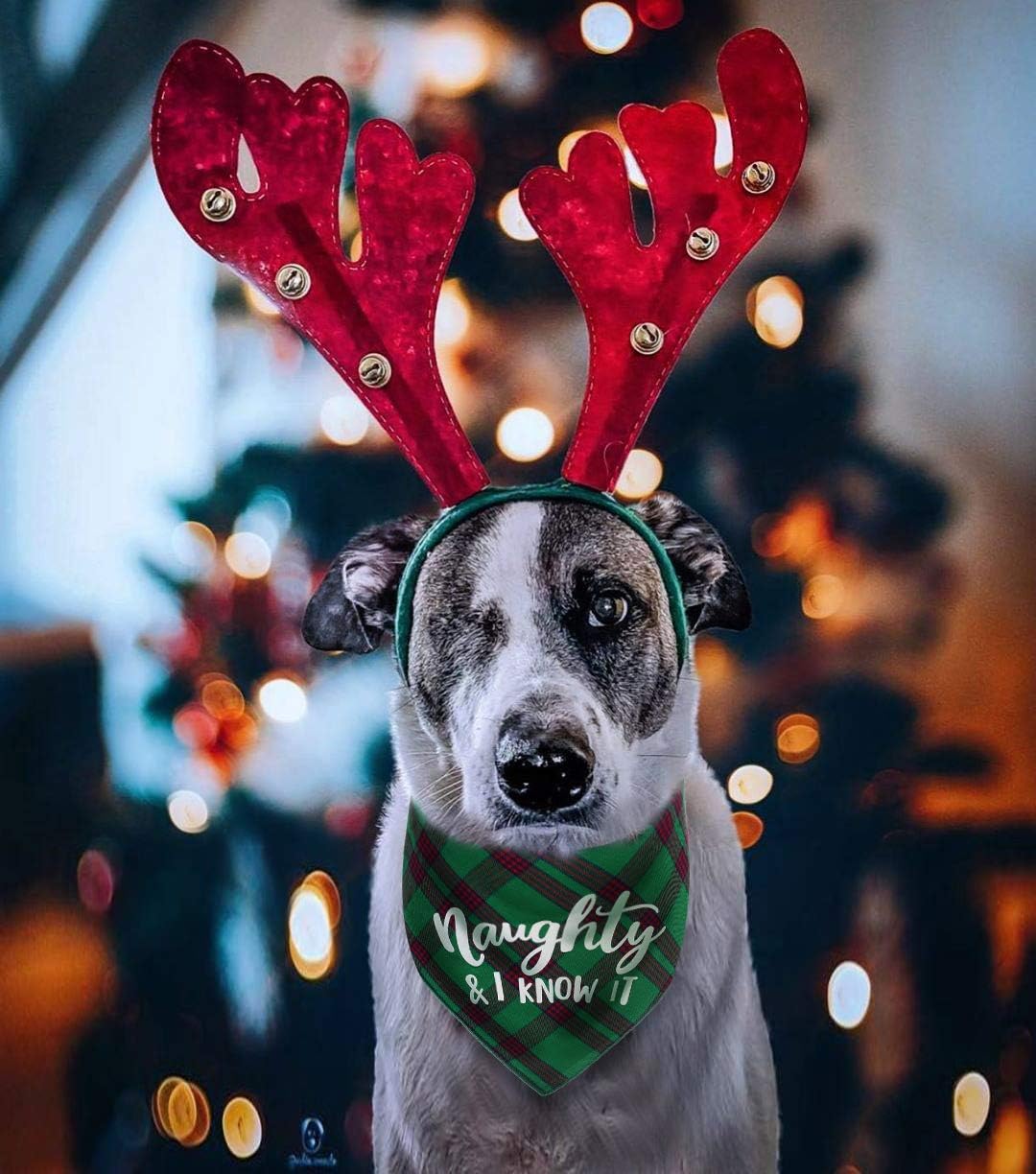 Dog Christmas Bandanas Plaid Reversible Triangle Bibs Scarf Accessories for Dogs Cats - Image 5