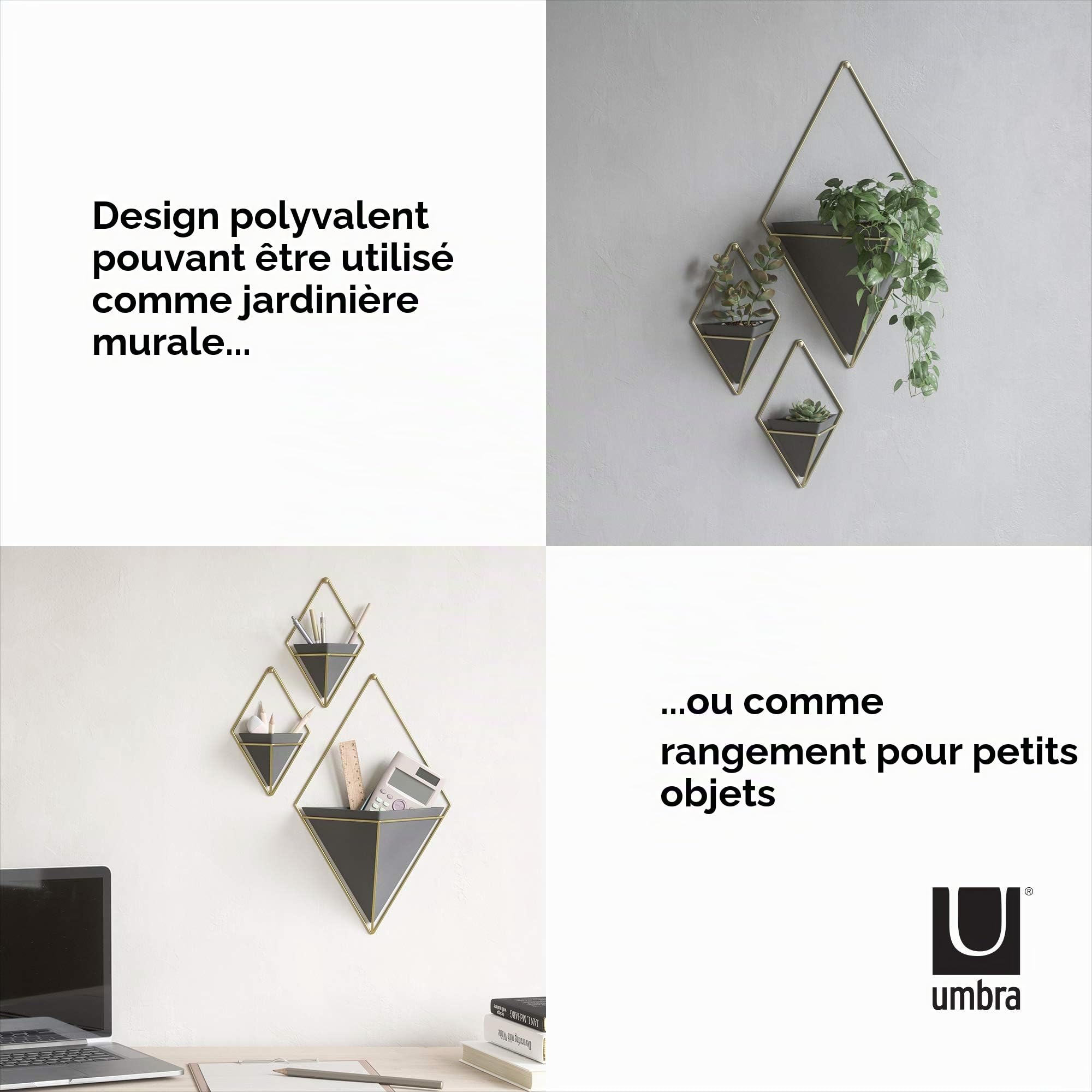 Umbra Trigg Jardinière Suspendue et Décoration Murale Géométrique pour Petite Plante. Plante Succulente et Bien Plus Encore. Noir/Laiton. Grand