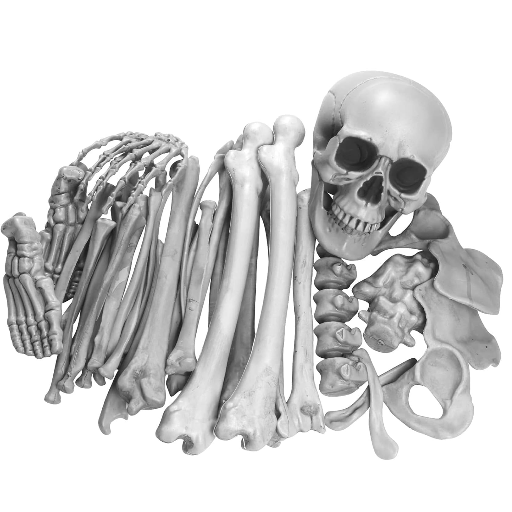 Veesper Bag of Bones (28Pcs) Realistic Skeleton Bones Plastic Halloween Skeleton Props Life Size Scary Halloween Decoration for Graveyard Haunted House Indoor Outdoor