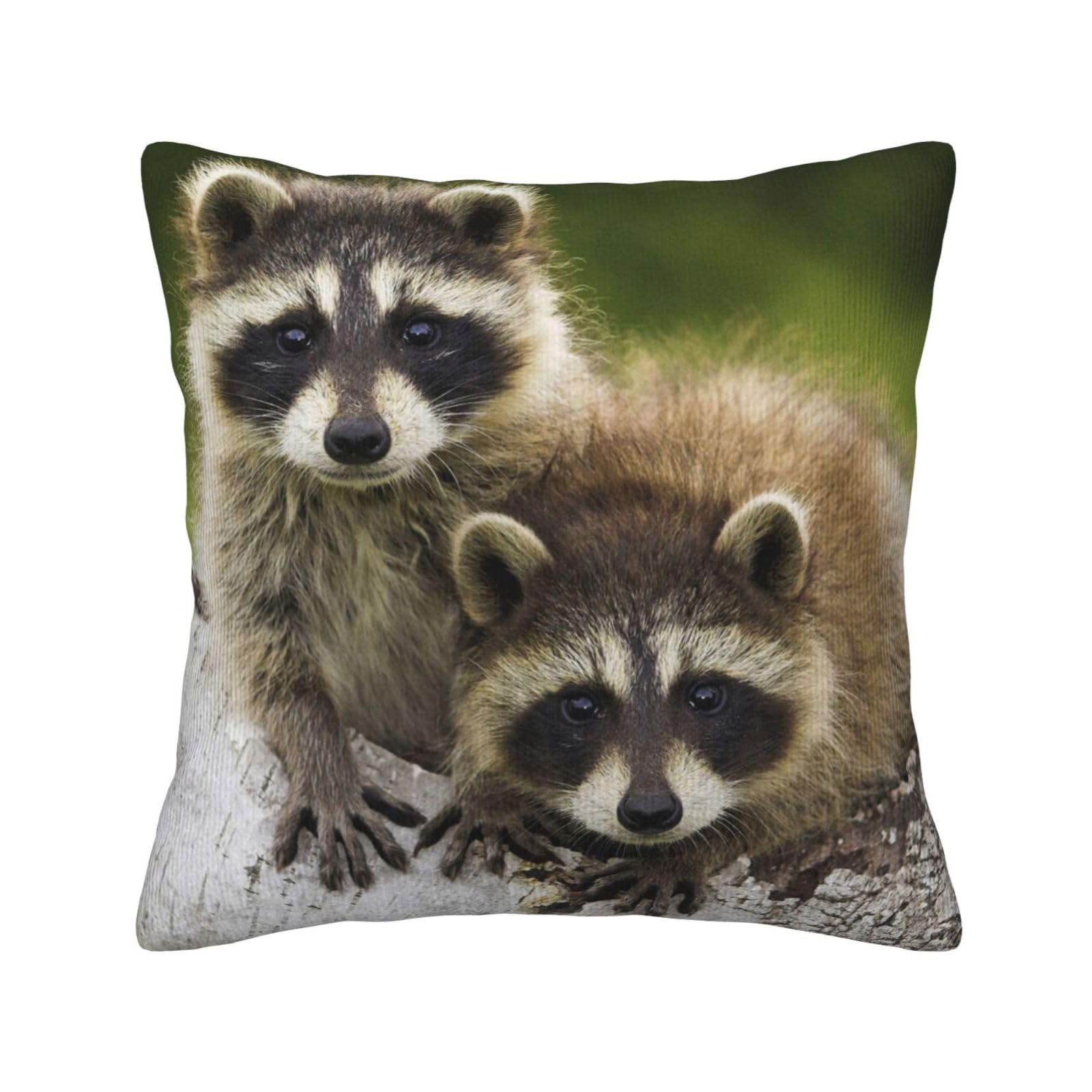 Housse de coussin raton laveur idéale pour sublimer le canapé du salon