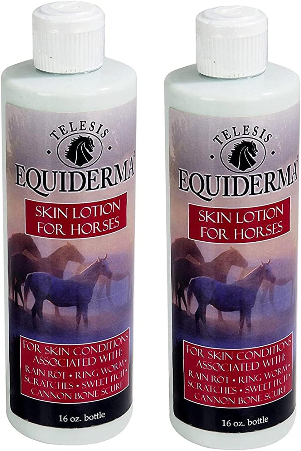 Equiderma Horse Skin Lotion for Rain Rot, Ringworm, Cannon Bone Scurf and More.