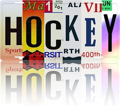 Vintage Wall Decor Tin Sign Retro Metal Hockey Street Signs for Cool Stuff Stylish Wall Art Decor Gift for Home Bathroom Kitchen Fence and Gothic Wall Decor in Every Room 12x6 in