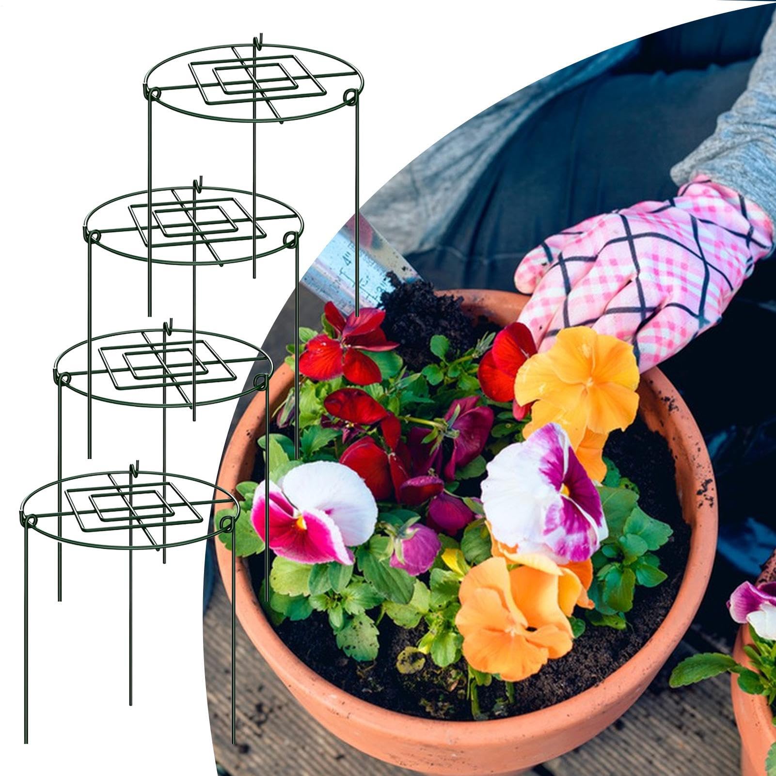 Gabbia per Peonie 4 Supporti per Piante