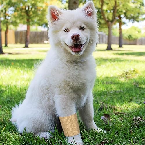 Miniatura 4 de Juvale 24 rollos de vendaje autoadhesivo de 2 pulgadas x 5 yardas, cinta transpirable para veterinaria, elástico cohesivo para muñeca, hinchazón,