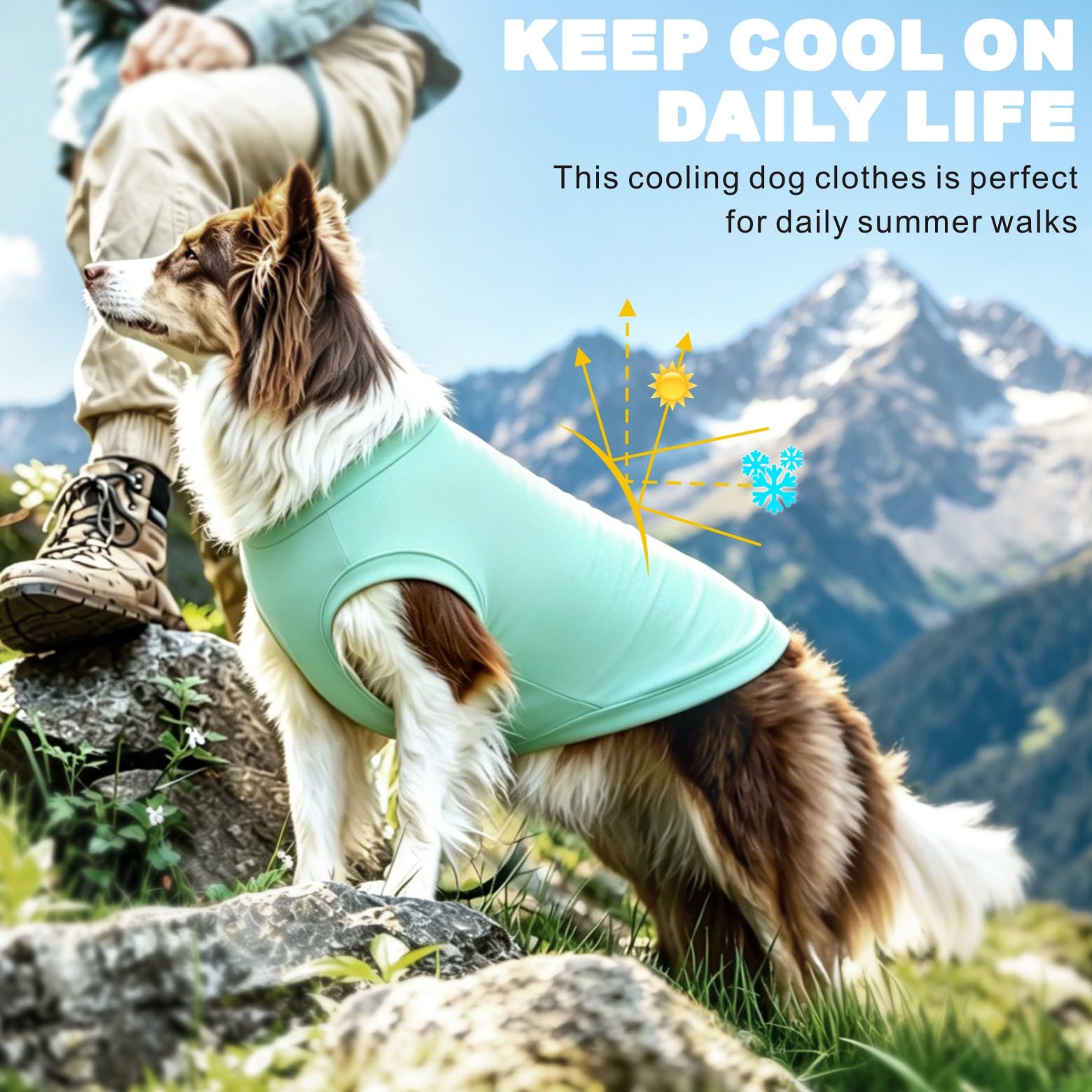 Camisa Perro protección UV 2Pack, Camiseta Ligera Perro Chaleco enfriamiento Secado rápido Ropa Verano Mascotas Confort Perros Camisas Sol para Perros pequeños y medianos Gatos Grandes