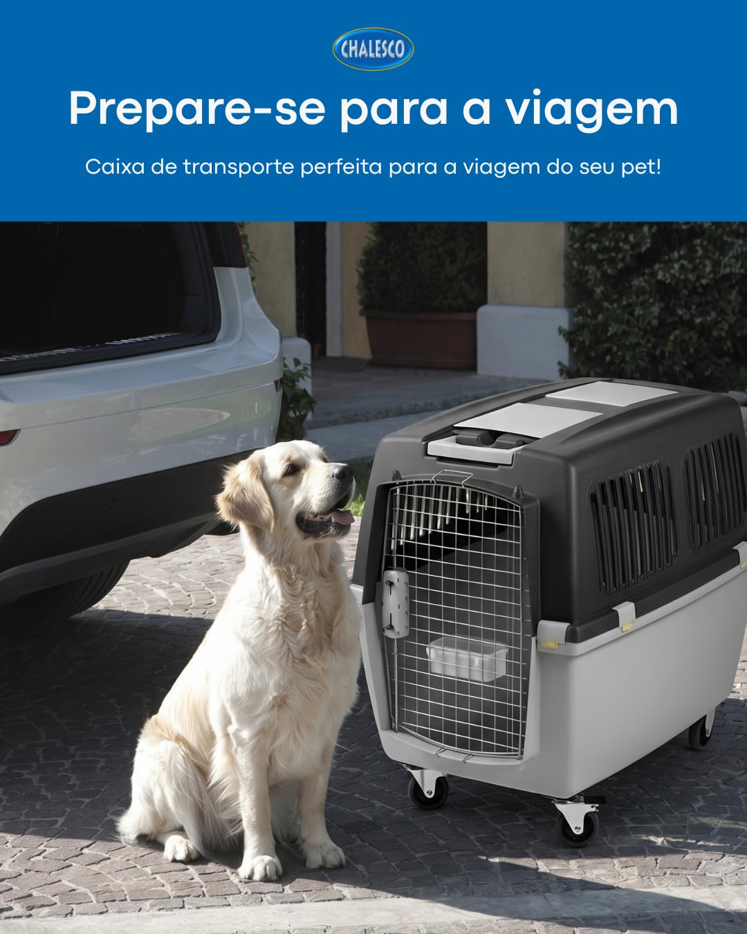 TRASPORTINO GULLIVER IATA 4 cm.71x51x50h. 10410