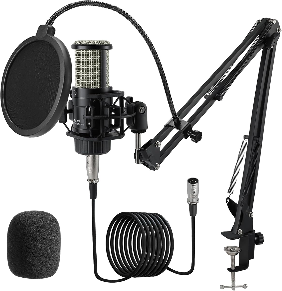 XLR Condenser Mic Kit with 25mm Diaphragm for Recording Podcasting | Professional Cardioid Microphone Kit, Streaming/Podcasting/Singing/Vocal, Studio Mic, Boom Arm, Pop Filter, (AC22)