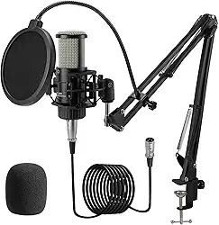 ALABS Microfone condensador XLR, kit de microfone de gravação cardioide profissional com diafragma de 25 mm para transmissão, podcast, canto, vocal, microfone de estúdio com braço boom, filtro pop