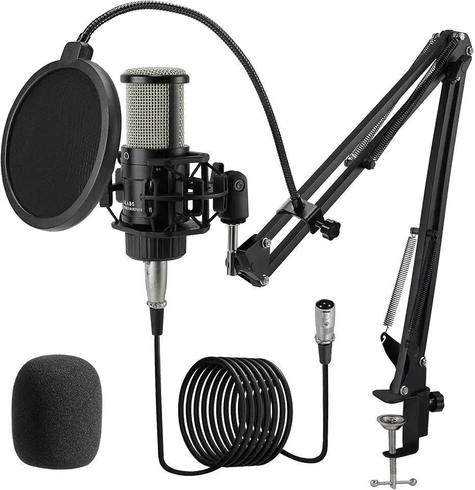 ALABS Microfone condensador XLR, kit de microfone de gravação cardioide profissional com diafragma de 25 mm para transmissão, podcast, canto, vocal, microfone de estúdio com braço boom, filtro pop