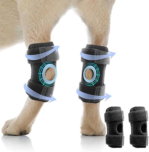 Aieero Soporte de pierna de perro para la cadera trasera y el tobillo, soporte de compresión con correa de resorte de metal para protección de