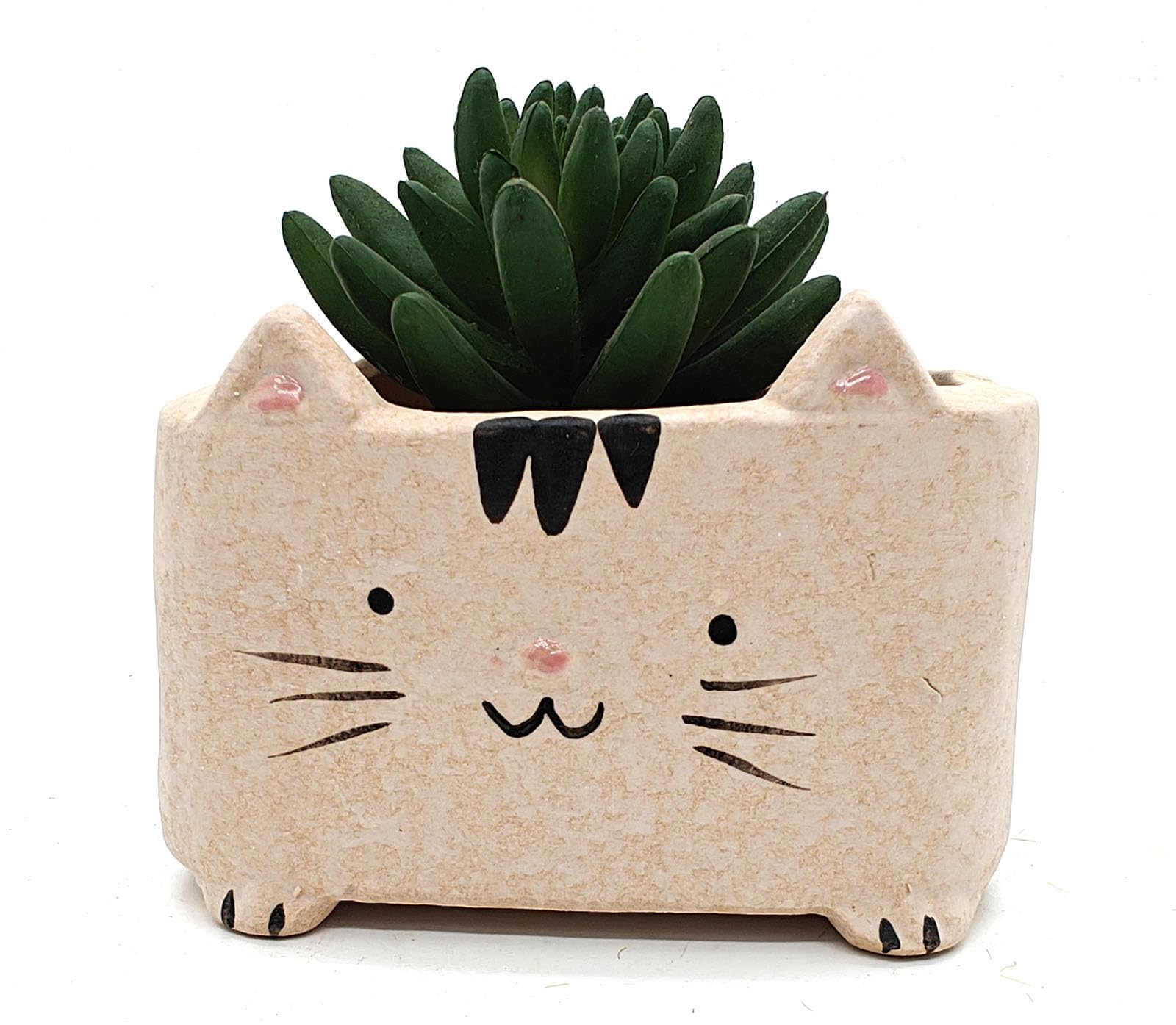 MONMOB Ceramic Cat Planter Succulent Pot Cute Kitty Planter Pot Birthday Gifts Valentines Day Gifts
